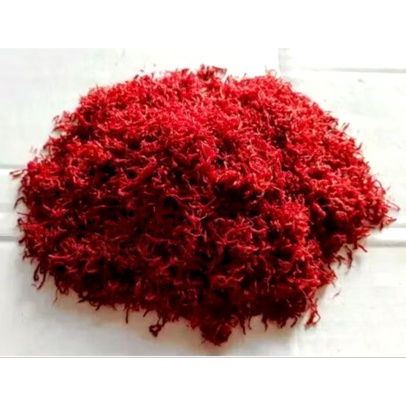 

1 G 5 GR 10 GRAM 西红花 XI HONG HUA BUNGA MERAH SPANYOL SAFFRON FLOWER SAFFLOWER