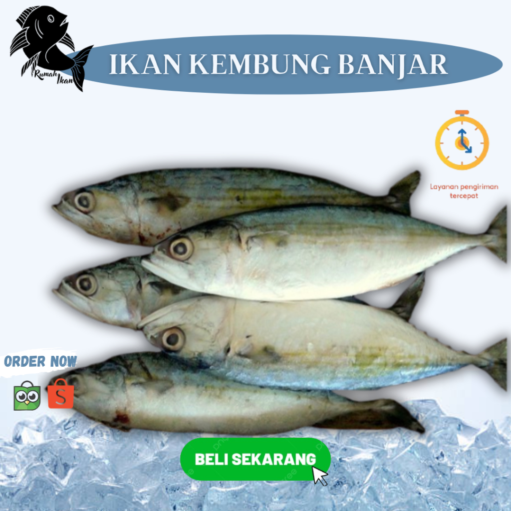 

Ikan Kembung Banjar Segar 1Kg