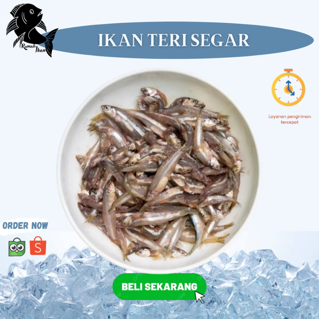 

Ikan Teri Basah/Teri Galer Segar 1Kg