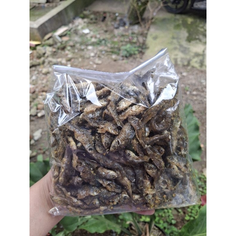 

Baby Fish Ikan Nilem | Ikan Nilem Kecil | Ikan Nilem Goreng Gurih Crispy Renyah