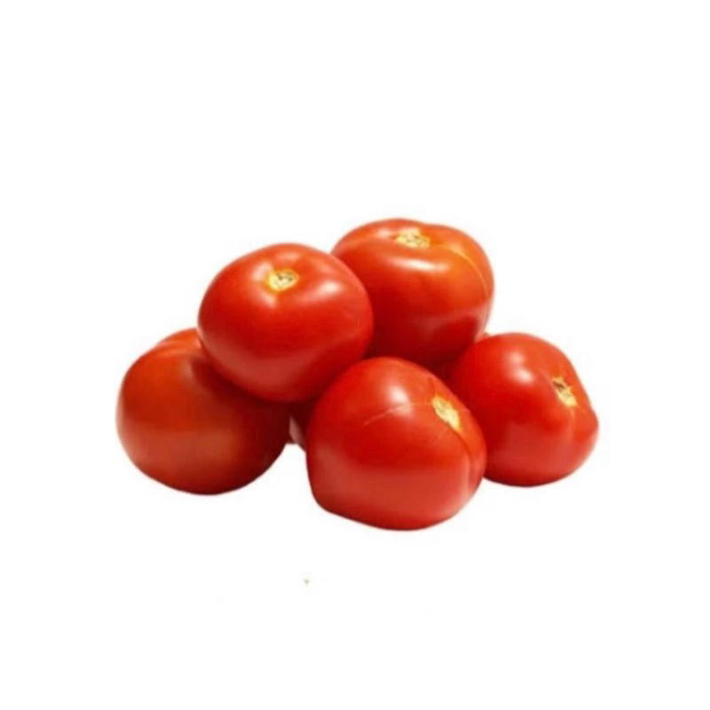 

Sayur Tomat / Tomat 1pcs