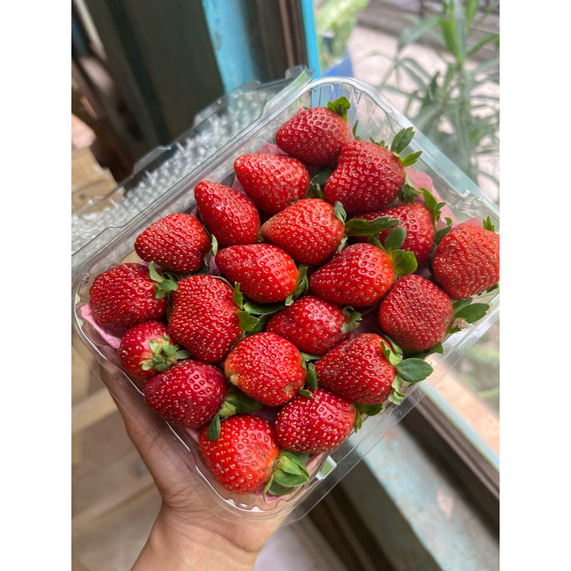 

strawberry 1 kg ukuran AB (besar campur sedang)