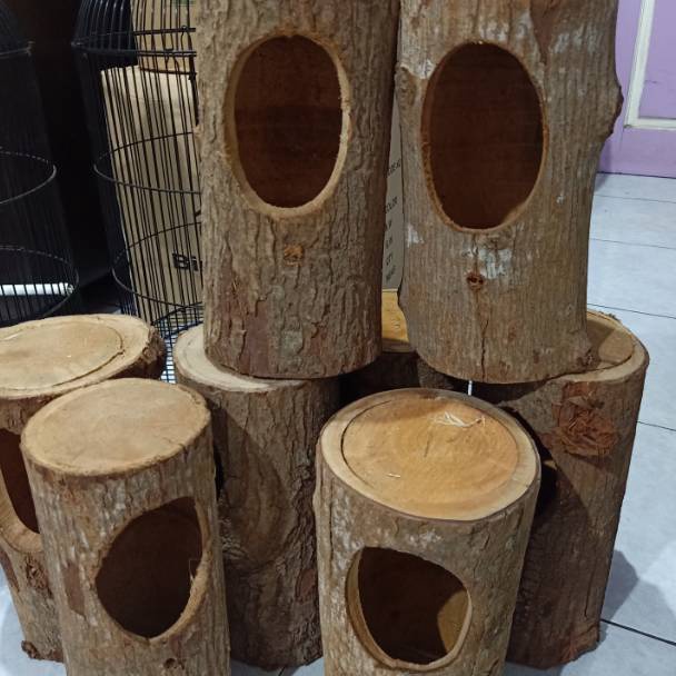 KODE L13J Glodok pohon untuk murai batu kacer  glodok burung  rumah burung