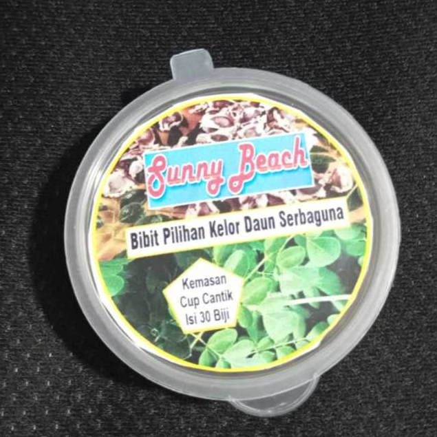 Bibit Pilihan Kelor Daun Serbaguna Kemasan Cup | Biji Benih Daun Kelor | Biji Bibit Daun Kelor