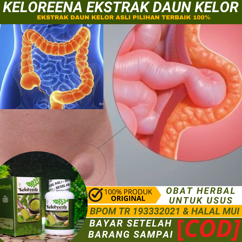 Obat Herbal Untuk Usus Buntu, Obat Usus Turun, Obat Usus Infeksi, Nyeri Usus, Usus Kotor, Kanker Usu