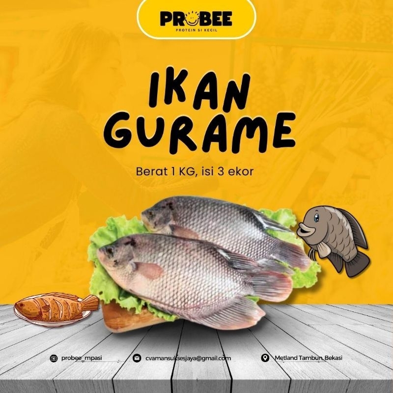 

Ikan Gurame Utuh 1kg/Gurame Utuh Fresh Halal 1Kg