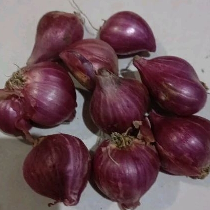 

(PROMO MURAH) Bawang merah 1kg bawang putih bumbu dapur + BONUS