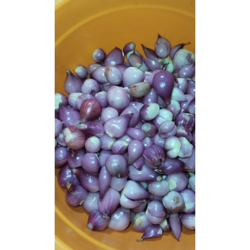 

BAWANG KUPAS PREMIUM FRESH 1kg