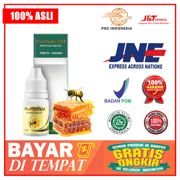 Obat Saraf / Syaraf Telinga, Pendengaran Kurang Jelas, Budeg Sebelah - PROPOLIS SM