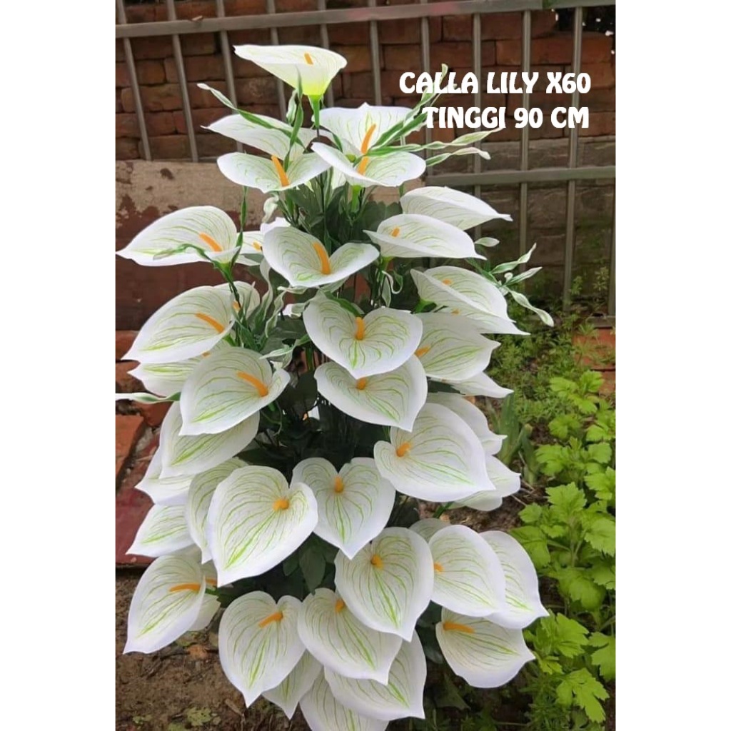 Bunga Jumbo Calla Lily Artificial Isi 60 Kuntum Tinggi 90 cm Tanpa Pot