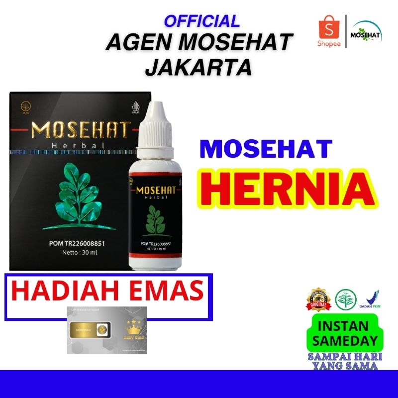 Mosehat Herbal Hernia Original Sembuh Tanpa Operasi