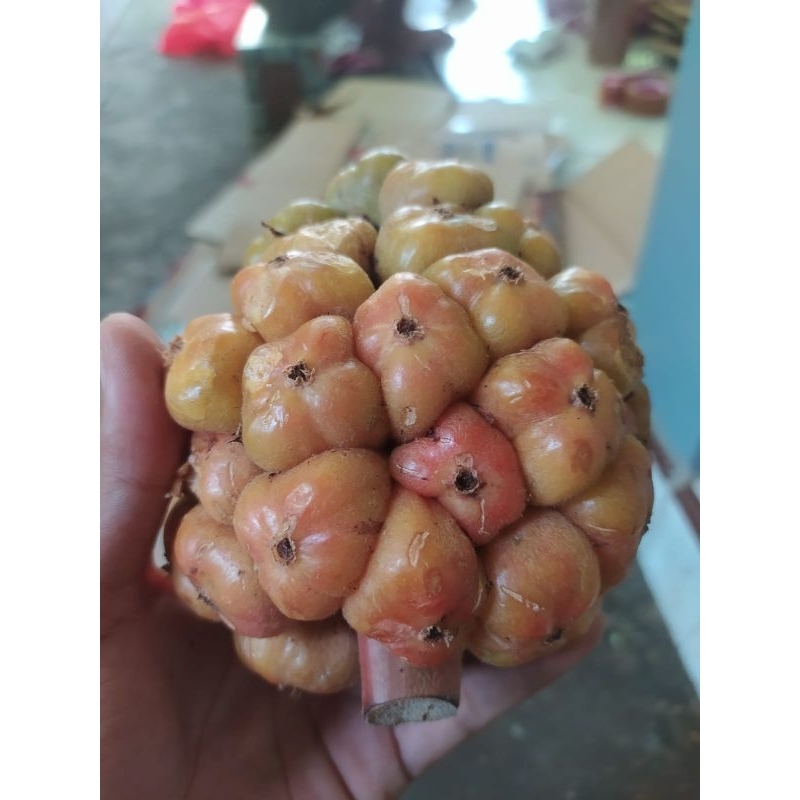 

Asam Cikala Ptikala Sihala Asam Arsik Medan 500g