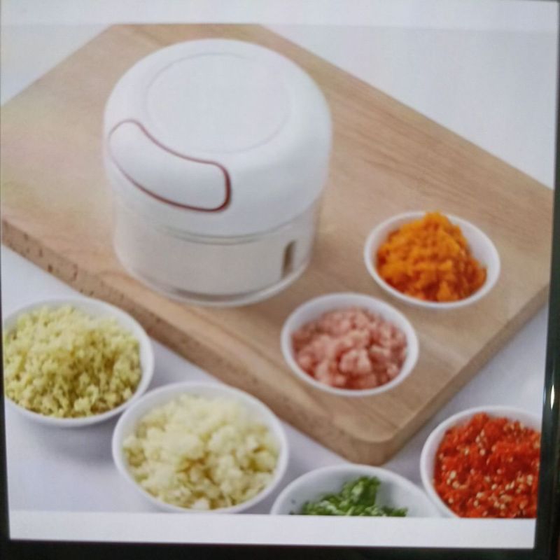 mini food chopper manual-blender manual -chopper manual