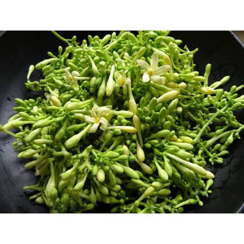 

Bunga pepaya fresh