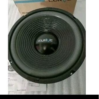 Speaker Pasif 10 Inch noite Custom