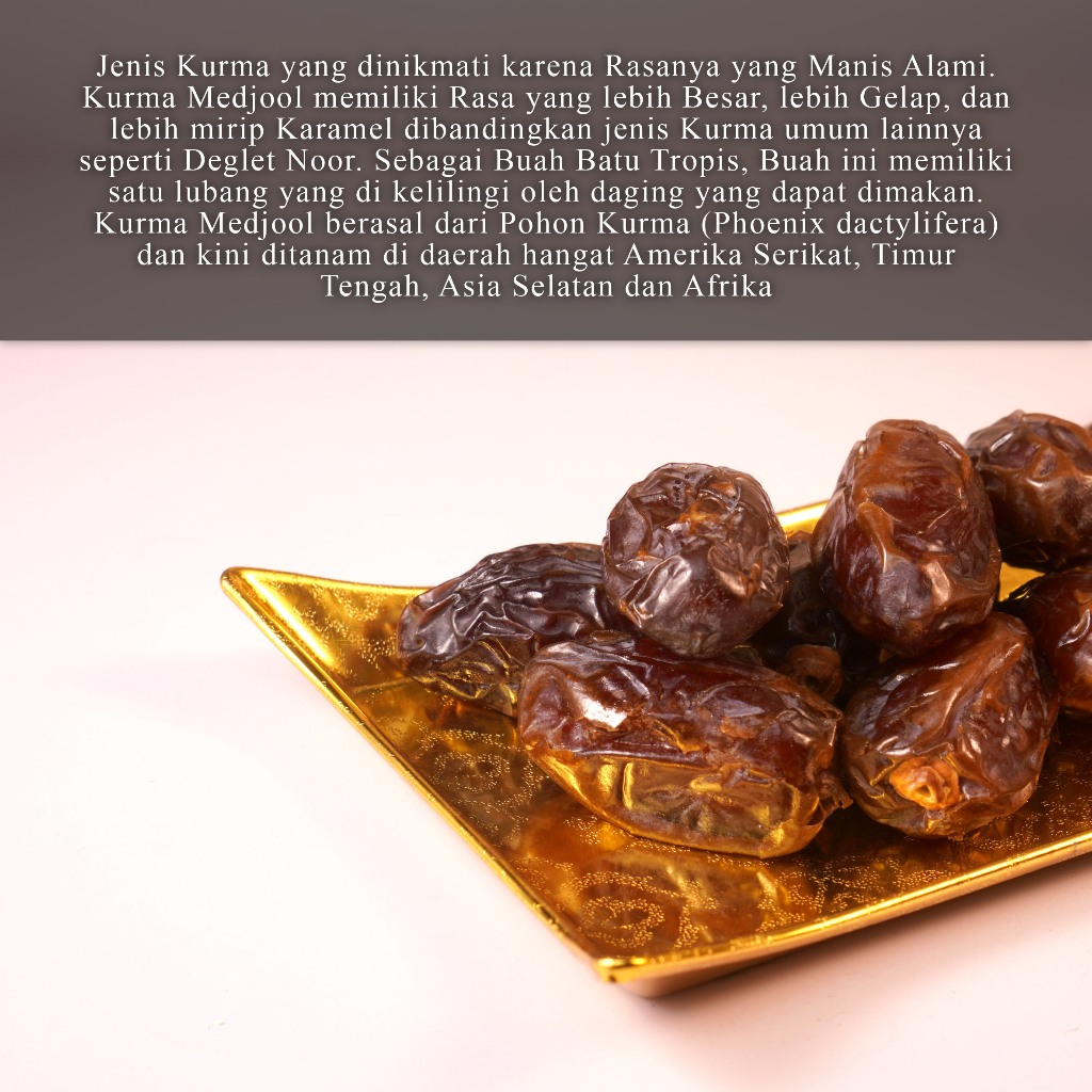 MEDJOOL KURMA JUMBO PALESTINE RAJA KURMA SUPER BESAR
