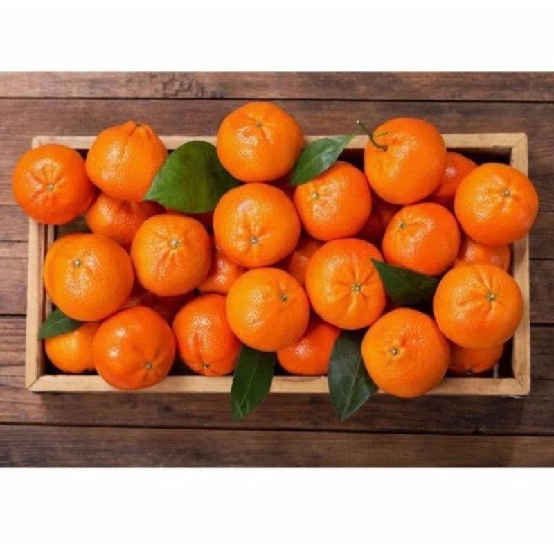 

Buah Jeruk Mandarin Segar - 1 Kilogram