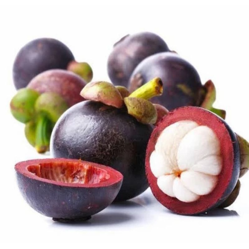 

Buah Manggis Segar - 1 Kilogram