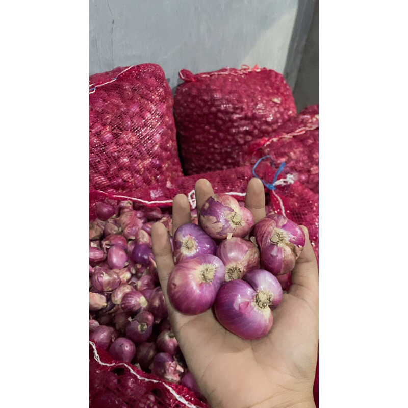 

bawang merah garing, murah besar super cross