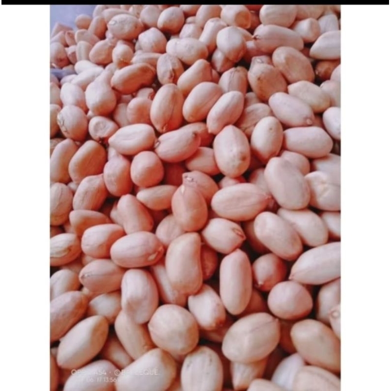 

KACANG TANAH MENTAH 1kg