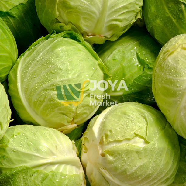 

Joya Fresh - Kol Putih Segar/Sayuran Segar/Kol Putih Per Buah 0,8-1Kg