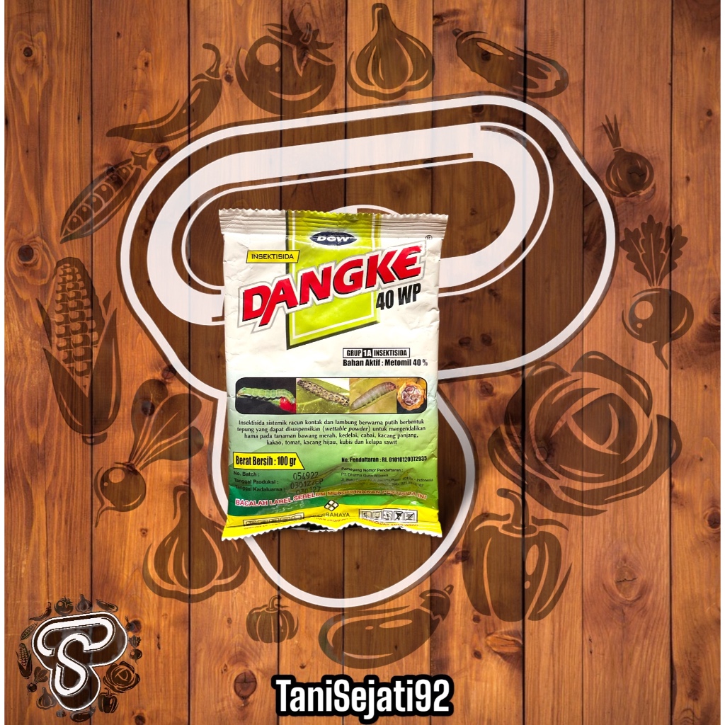 INSEKTISIDA DANGKE 100GR