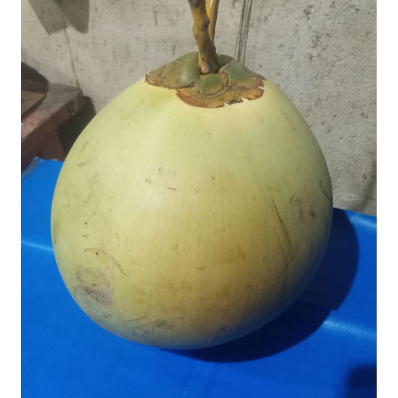 

Air Kelapa Muda Murni Pak Ming (utuhan/bijian)