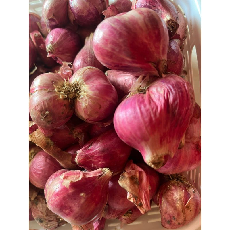 

Bawang merah /Brambang merah Super 1kg +200g kering