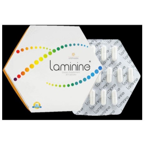 LAMININE stemcell isi 30 kapsul