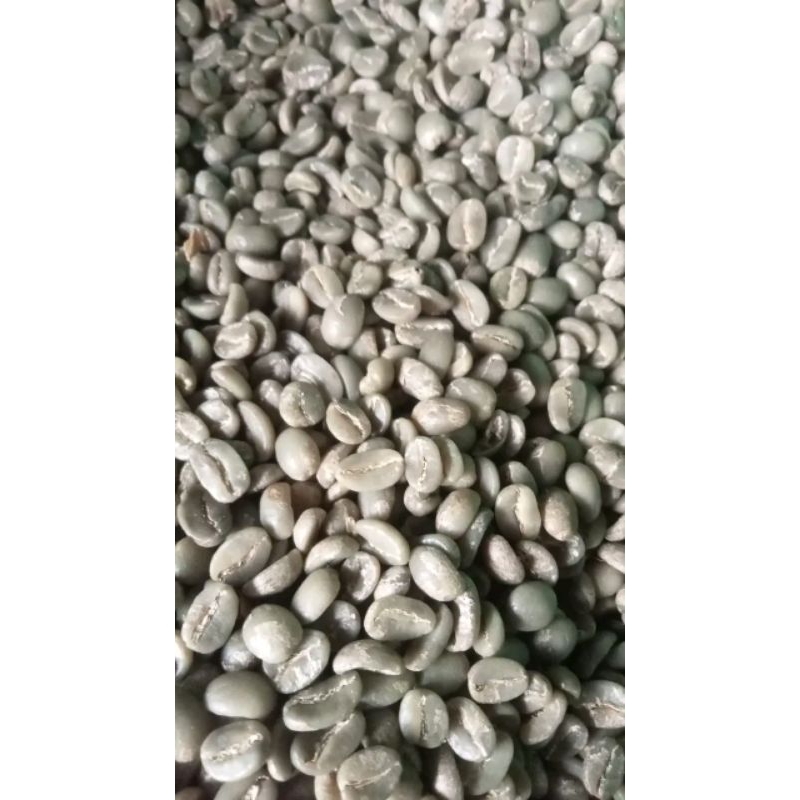 

5 kg KOPI GREN BAEN ARABICA GARUT FULL WASH