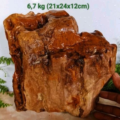 batu galih kelor kristal (509)