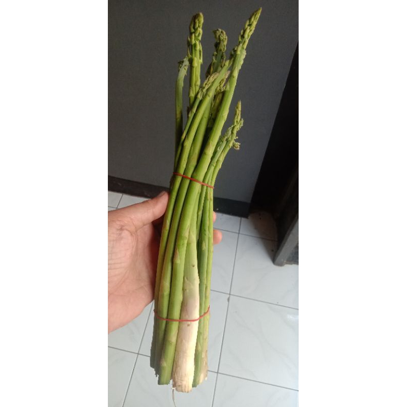 

asparagus segar per kg