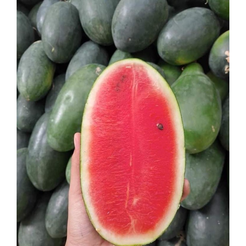 

READY STOK [bisa instan]semangka merah inul manis segar dan freesh