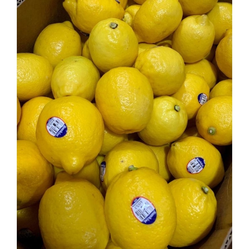 

Jeruk lemon import