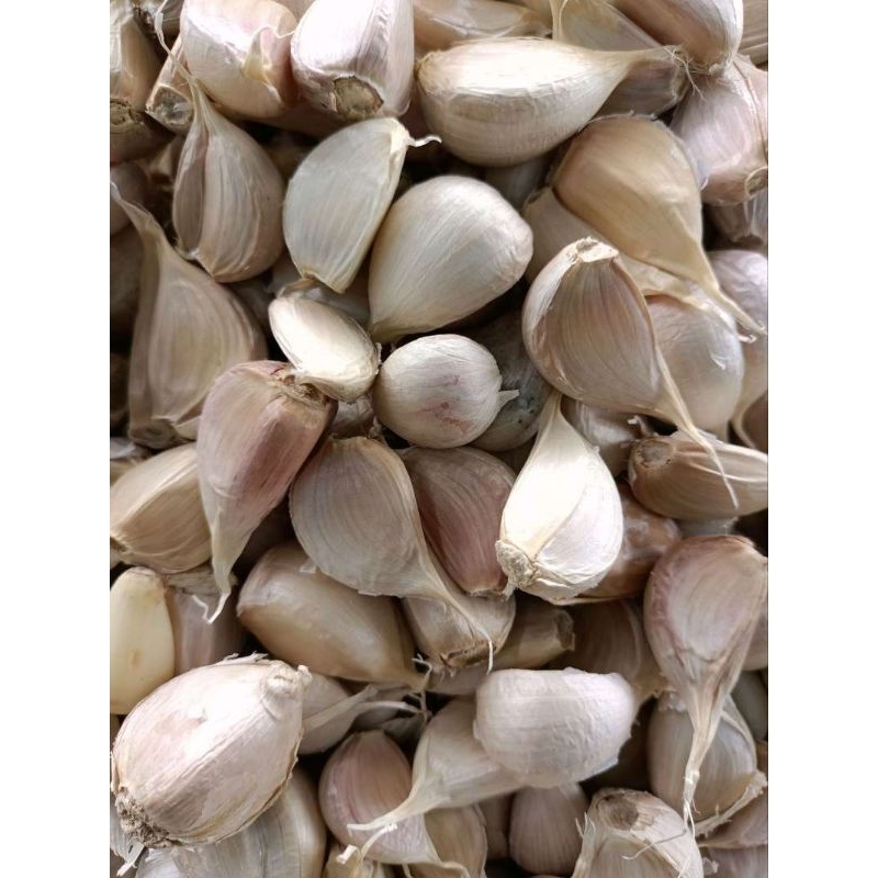 

Bawang Putih Kating Bersih 500 gram