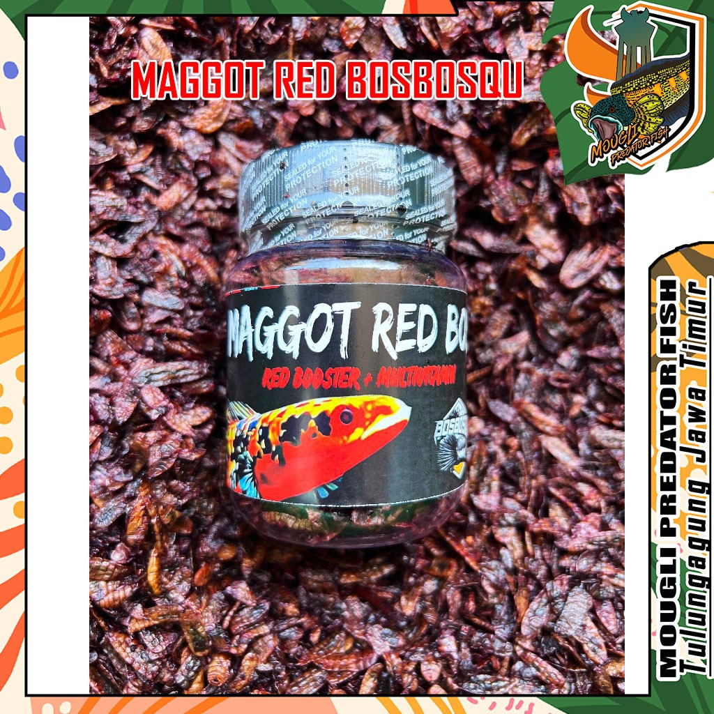 MAGGOT RED (MERAH) @BOS BOS QU GRADE A+ FREE STIKER ( NEW FORMULA) 30 GRAM