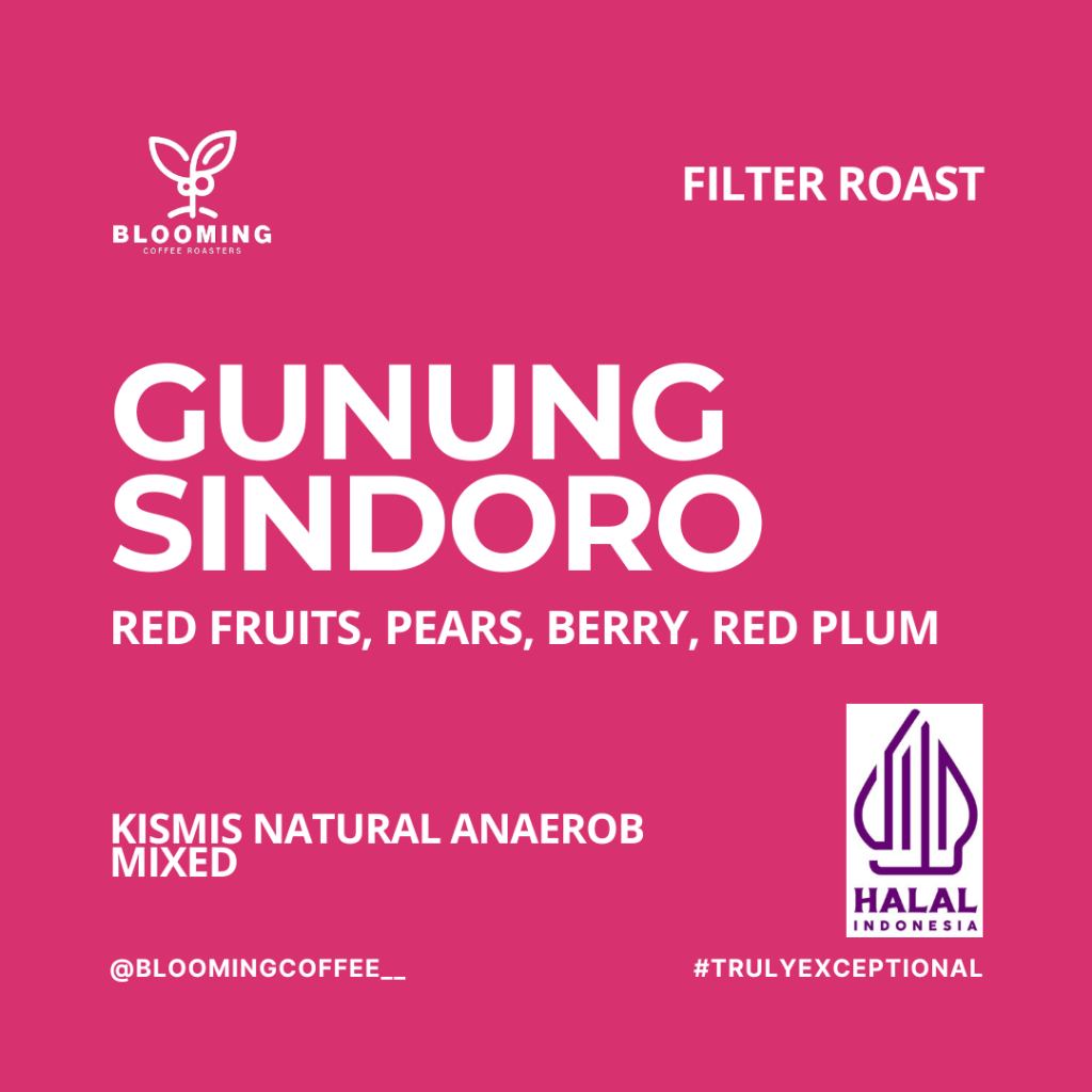 

Sindoro Anaerobic Natural | Filter Roast | Blooming Coffee Biji Kopi Arabica