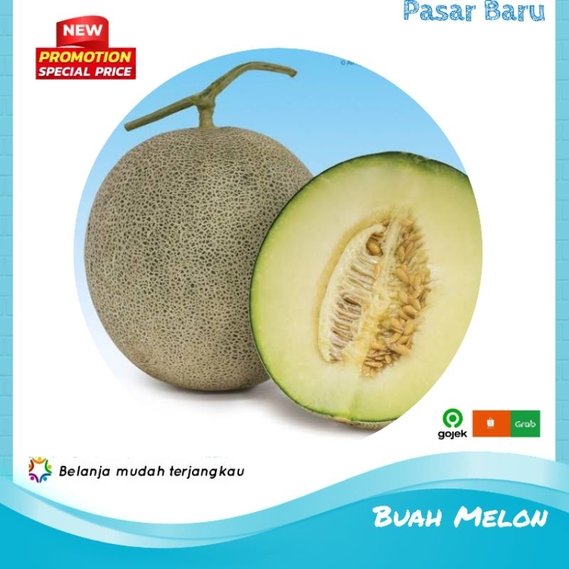 

Buah Melon • Murah | Pasar Baru Makassar