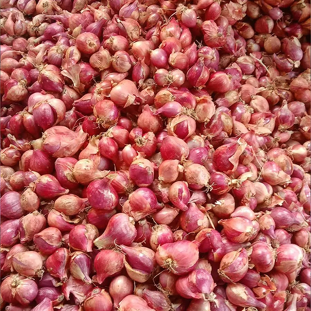 

Bawang Merah 1 Kg Brambang 1kg Kering Murah Bagus