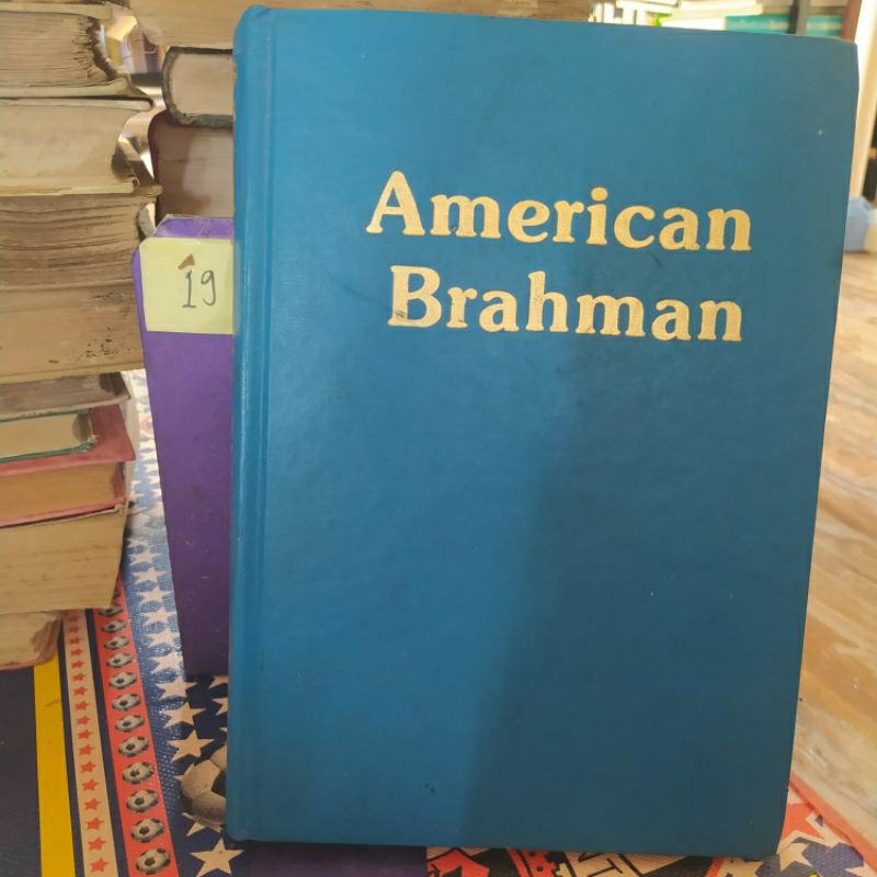 AMERICAN BRAHMAN