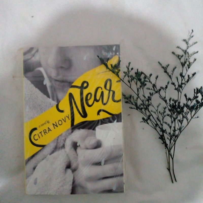 Preloved Novel Near by Citra Novy