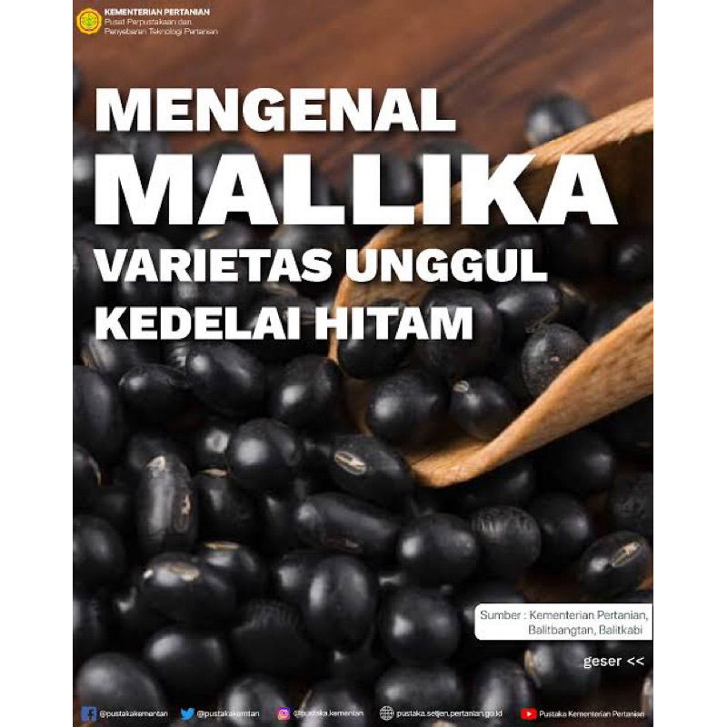 

KEDELAI MALIKA KEDELAI HITAM 1 KG