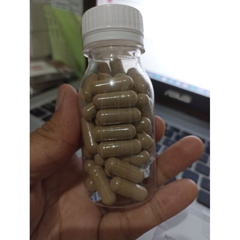 Purwoceng kapsul Herbal sehat