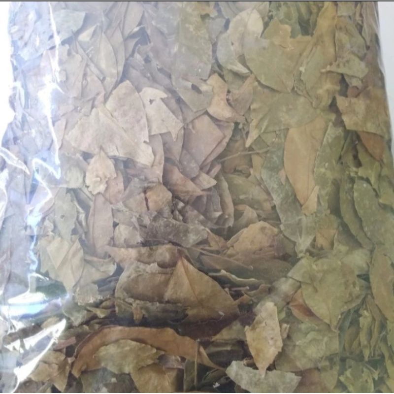 

Daun Kemuning Kering 250gr Asli Herbal