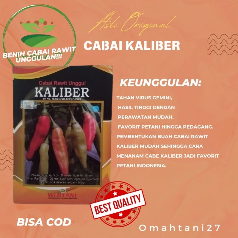 Benih cabe kaliber 10 gram original