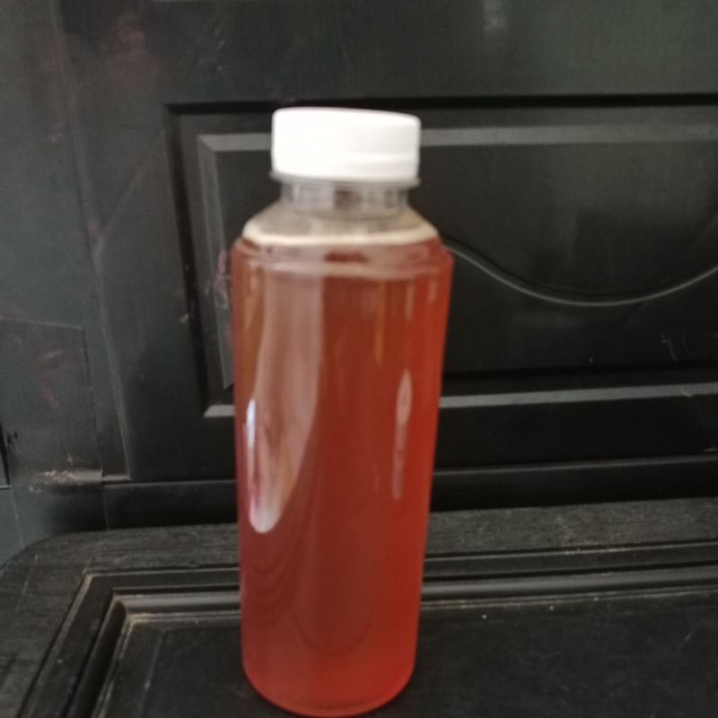 

madu dorsata