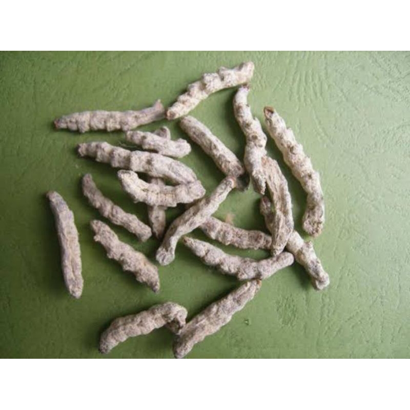 

300 G GR GRAM 白僵蚕 BAI JIANG CAN 白姜虫 BAI JIANG CHONG BOMBYX BATRYTICATUS WHITE SILKWORM