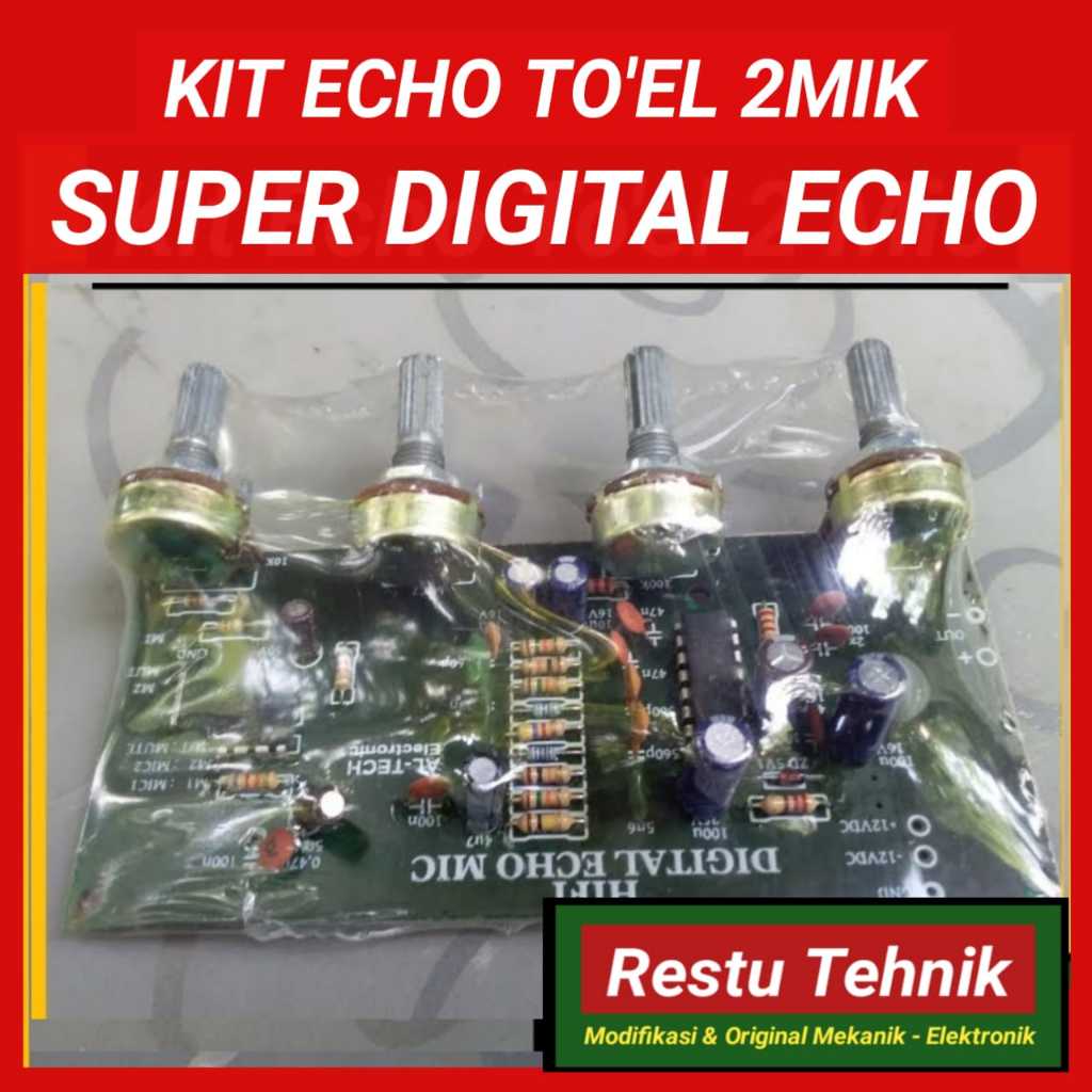 Modul Echo To'el - Kit Echo 2mic Original