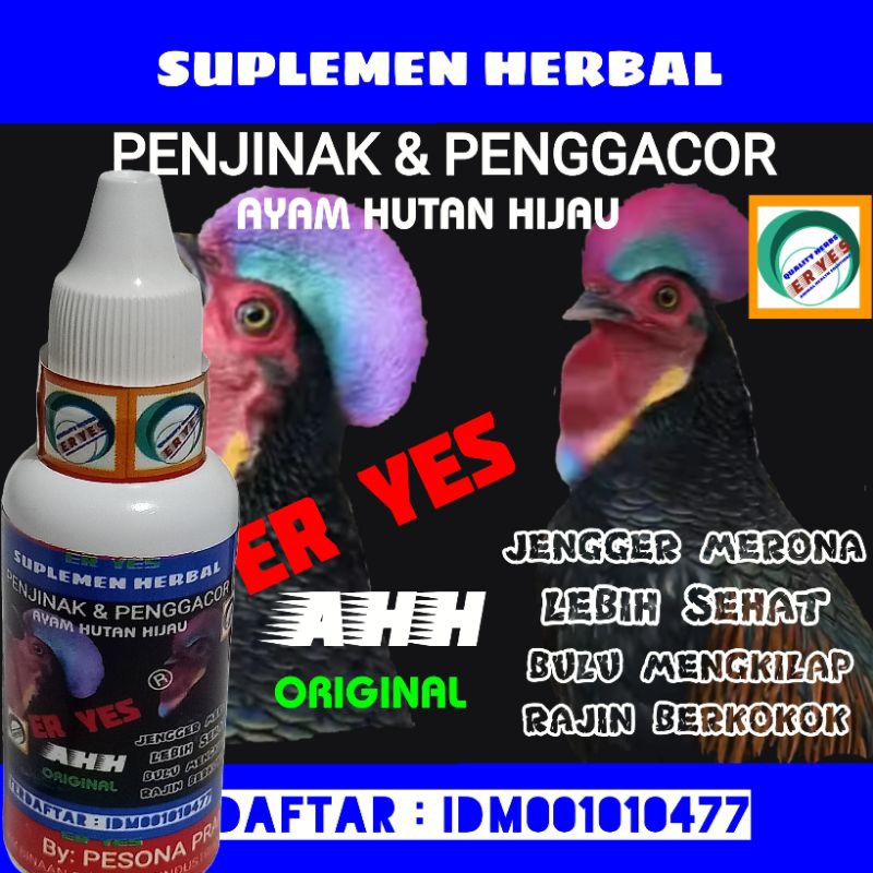 AYAM HUTAN ER YES AHH PENGGACOR&PENJINAK AYAM HUTAN HIJAU