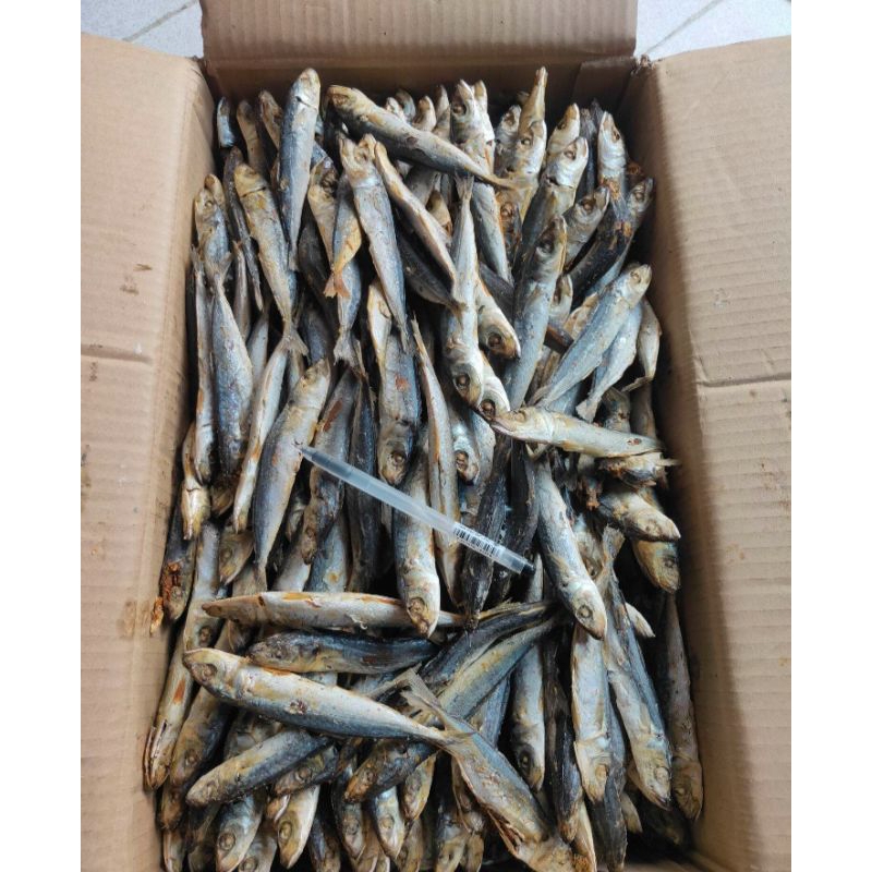 

IKAN ASIN sarden//IKAN ASIN SARDEN REBUS KUALITAS SUPER.